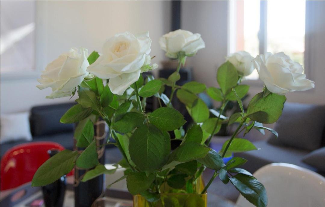Appartement Pinede Man Yelle ساناري سور مير المظهر الخارجي الصورة